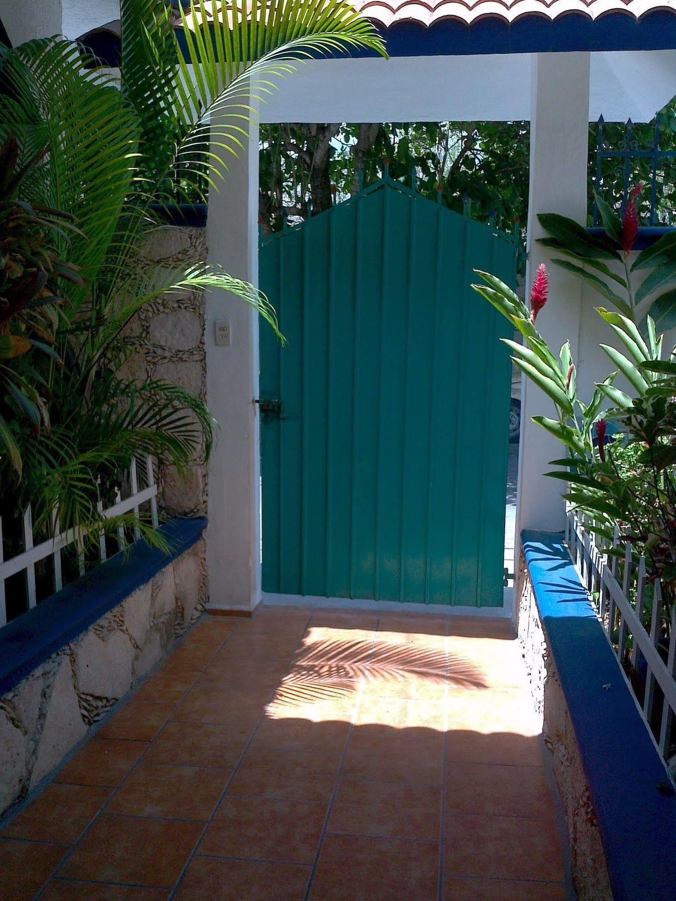 Alicia'S Bed & Breakfast Κοζουμέλ Εξωτερικό φωτογραφία