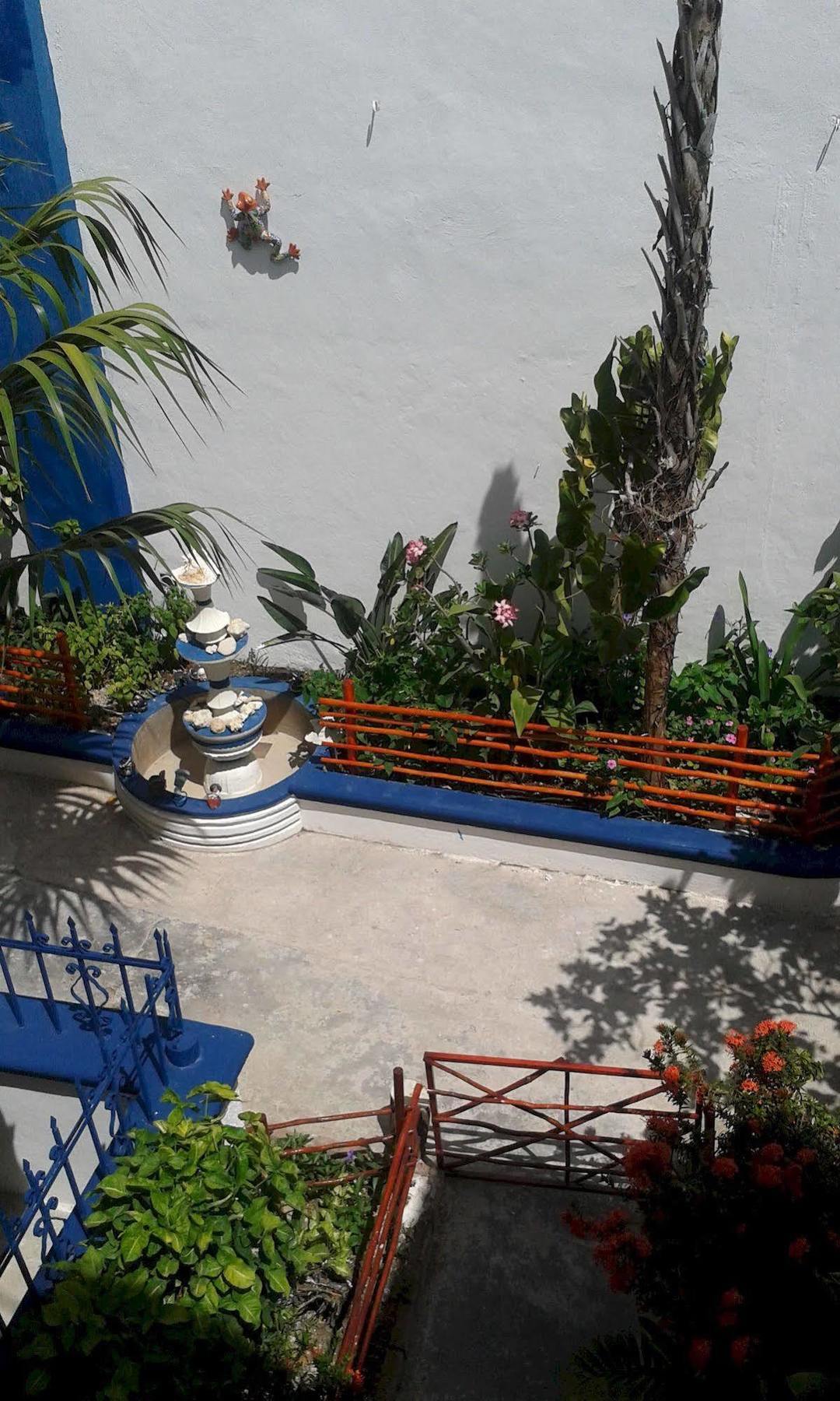 Alicia'S Bed & Breakfast Κοζουμέλ Εξωτερικό φωτογραφία