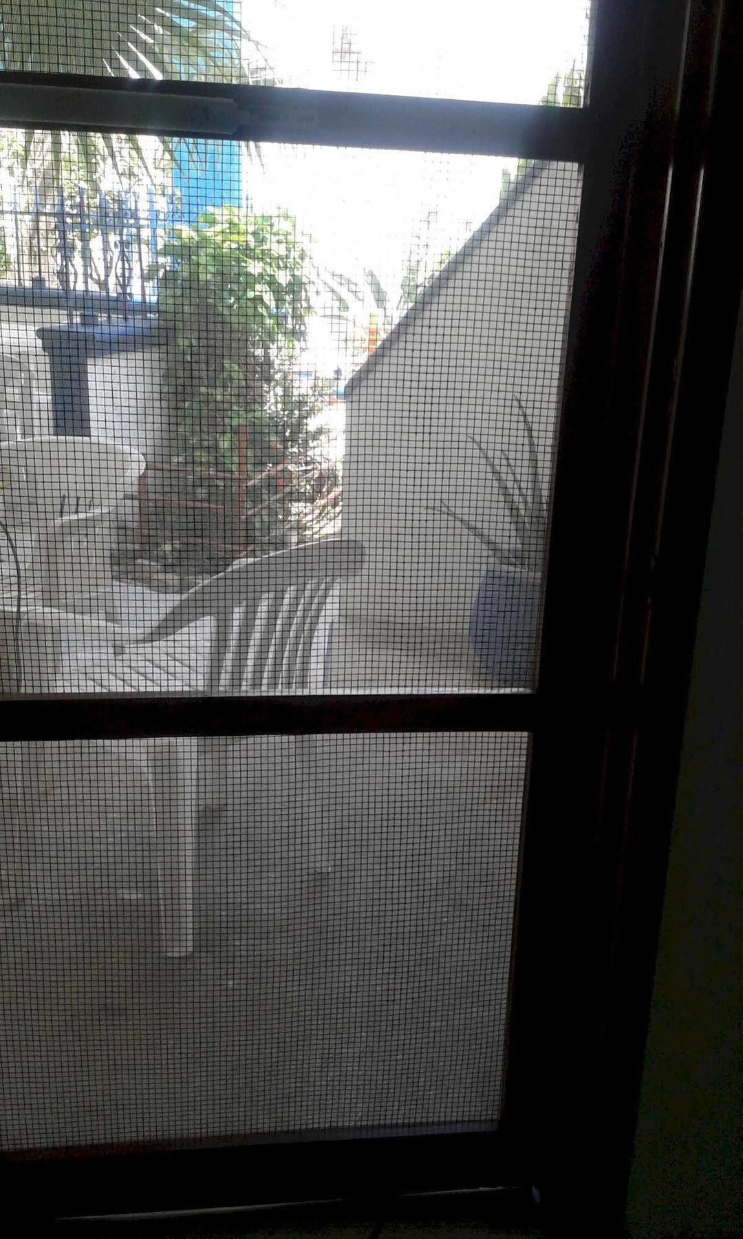 Alicia'S Bed & Breakfast Κοζουμέλ Εξωτερικό φωτογραφία